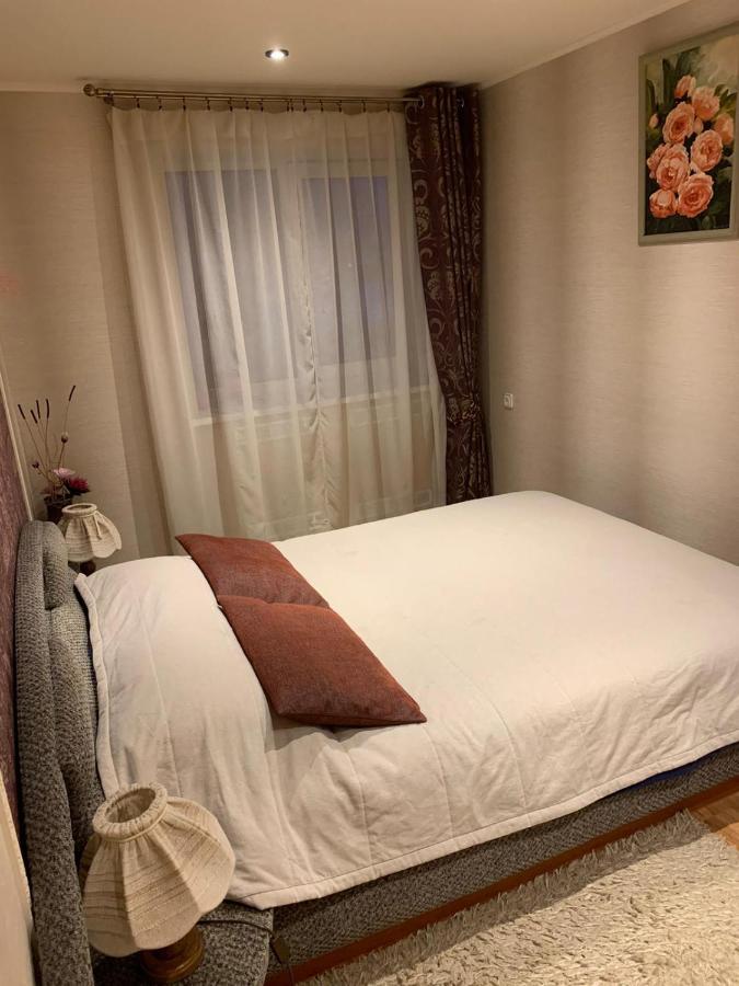 Central Daugavpils Apartment Екстер'єр фото